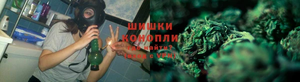 PSILOCYBIN Богданович