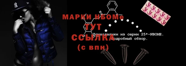 PSILOCYBIN Богданович