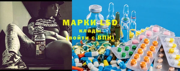 PSILOCYBIN Богданович