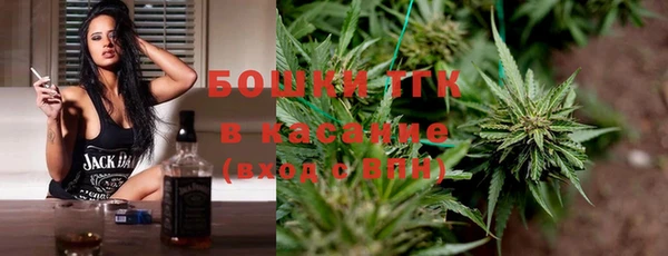PSILOCYBIN Богданович