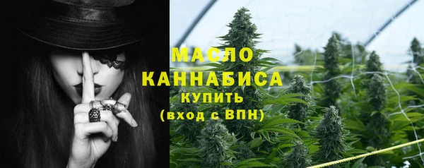 твердый Богородицк